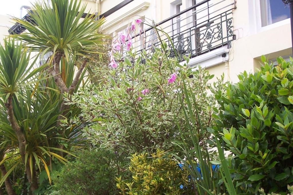 Ashwood Grange Bed & Breakfast Torquay Exterior photo